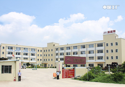 思洋签约汉诺斯实业集团网站建设项目